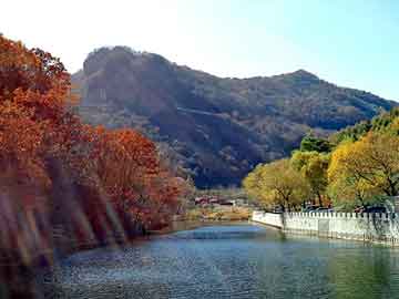 管家婆黑白马报图库，都市神尊